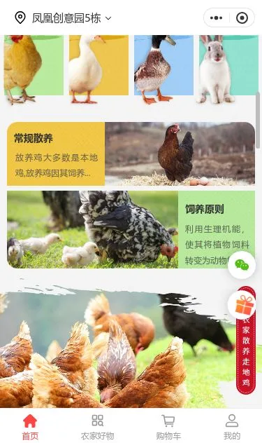 家禽农产品商城小程序模板第2个页面预览